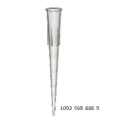 Eclipse Graduated Tips