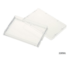 Cell Culture Plates