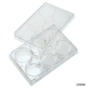 Cell Culture Plates