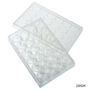 Cell Culture Plates