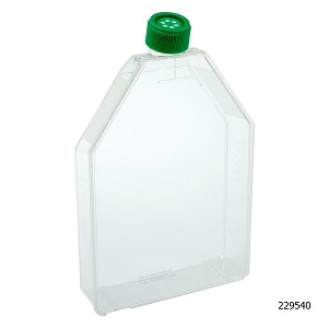 Cell Culture Flask