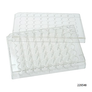Cell Culture Plates