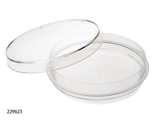 Cell Culture Dishes