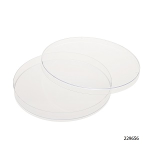 Cell Culture Dishes