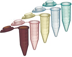 5 mL Centrifuge Tubes