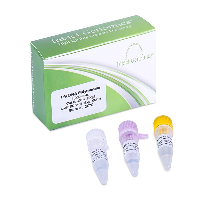 Pfu DNA Polymerase