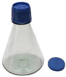 Erlenmeyer Flask