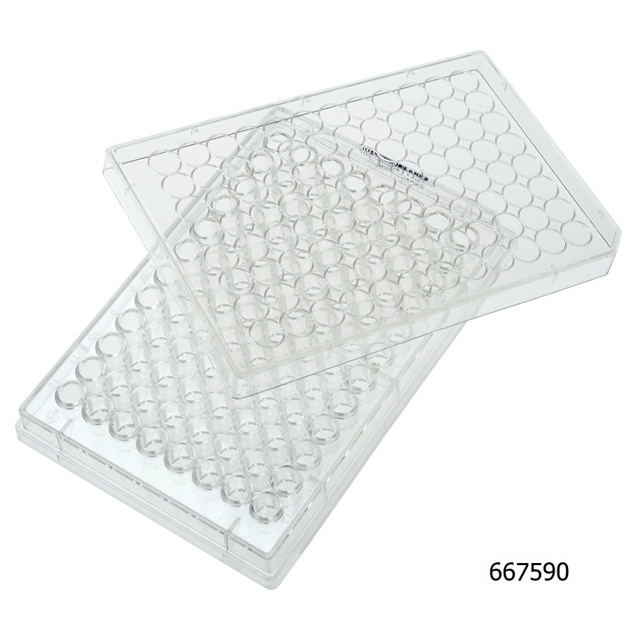 96-Well Plate w/ Lid