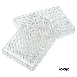 96-Well Plate w/ Lid