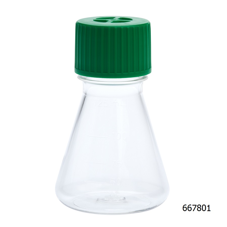 Erlenmeyer Flask