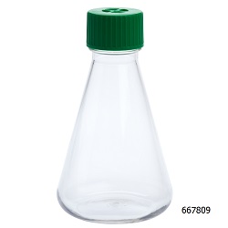 Erlenmeyer Flask