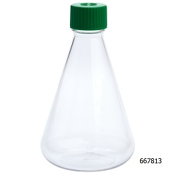Erlenmeyer Flask