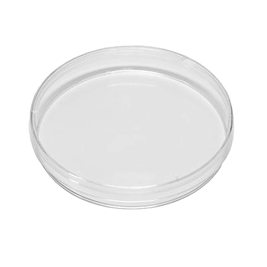 Petri Dish