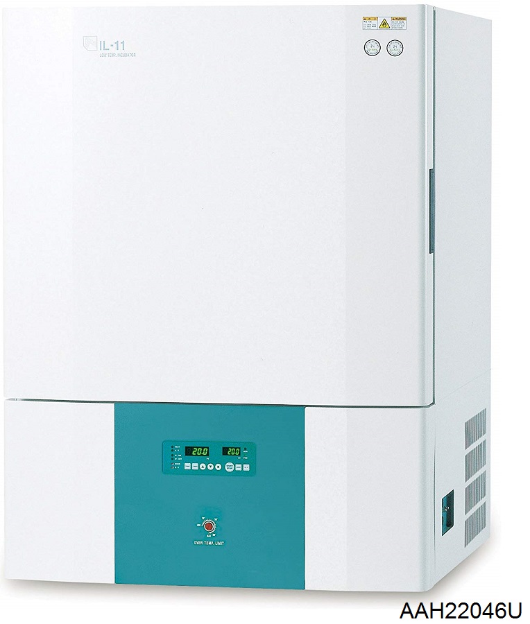 Low Temp Incubator