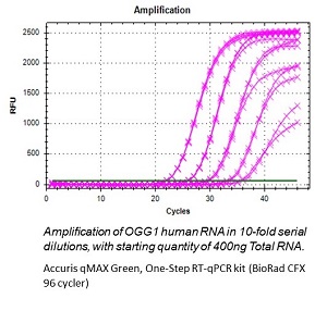RT-qPCR Flourescent Curve