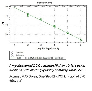 RT-qPCR Standard Curve