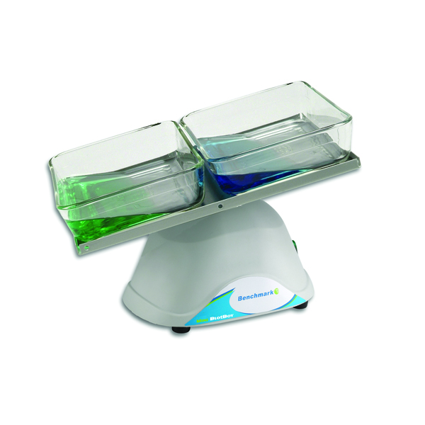 Blotboy Low Speed 3D Roc