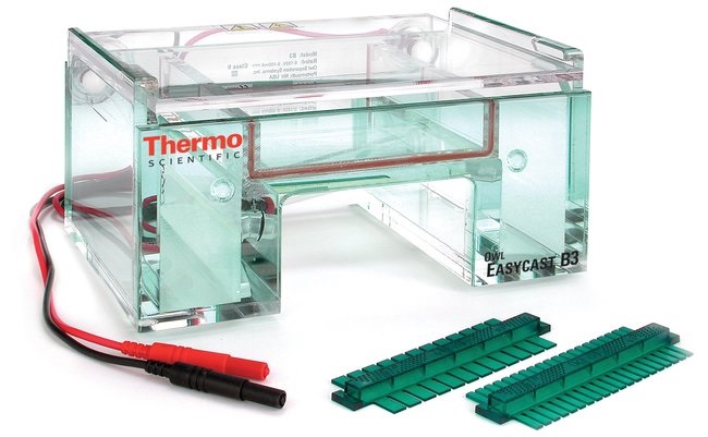 B3 Gel Electrophoresis Sy