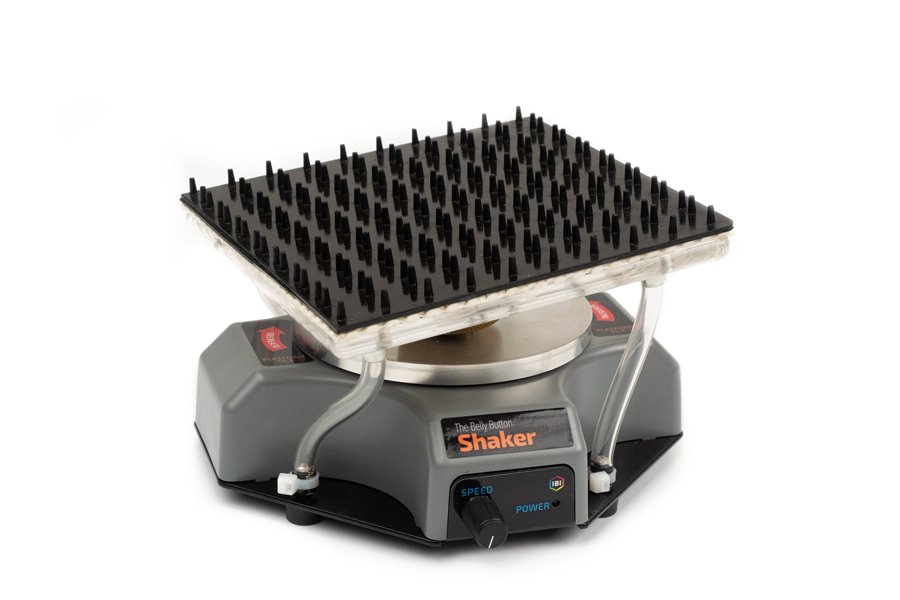 The Belly Button, 90V/240