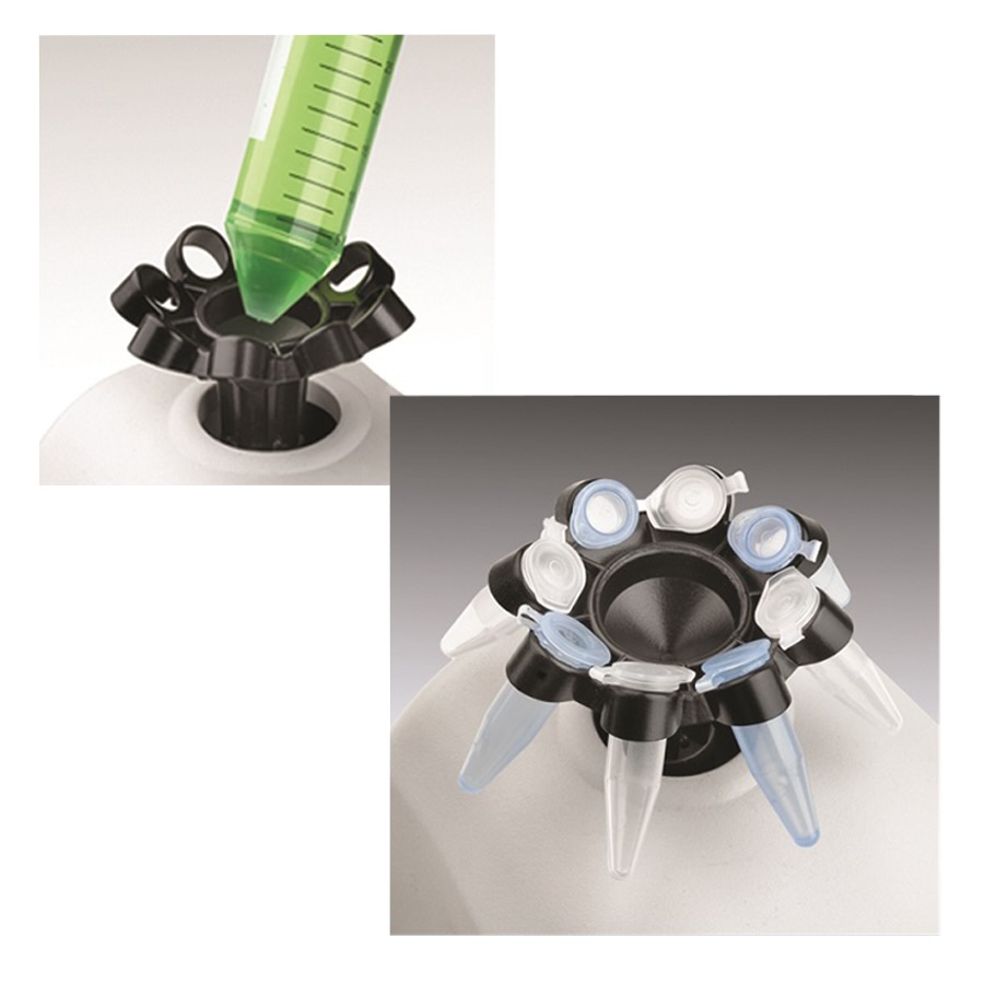 Mixer with Multi-Head