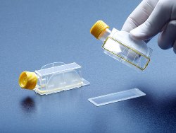 Clipmax Slide System