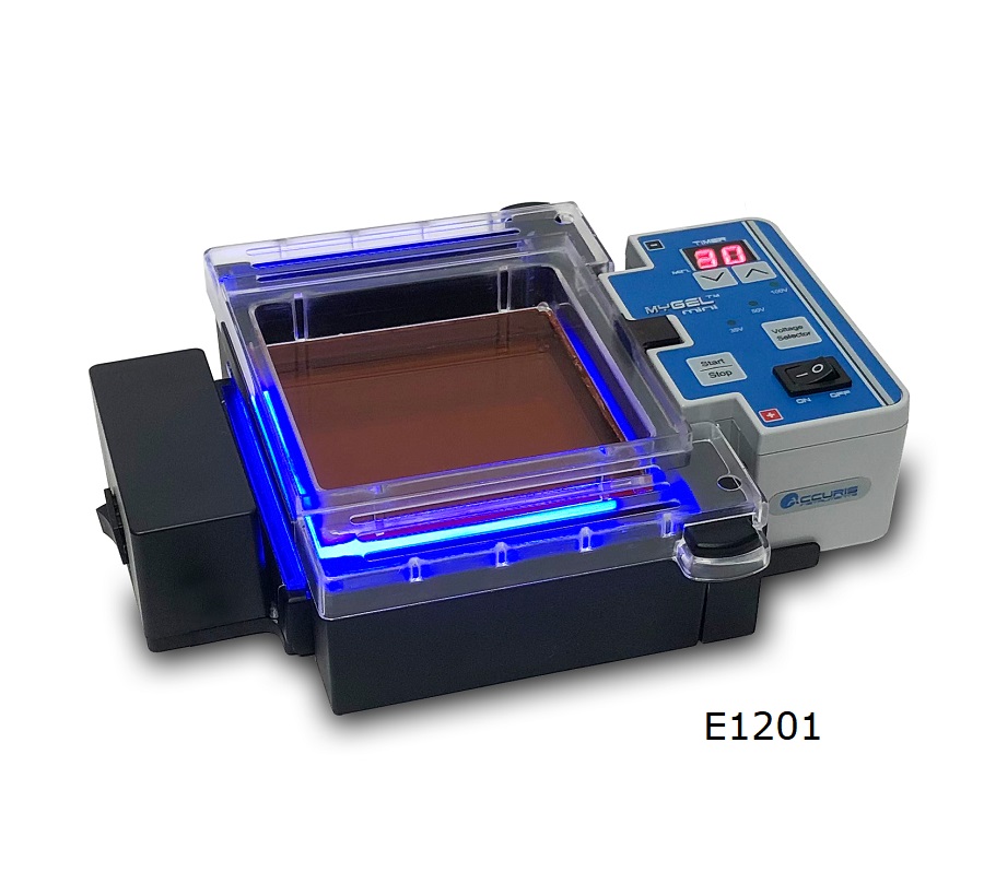 Electrophoresis System