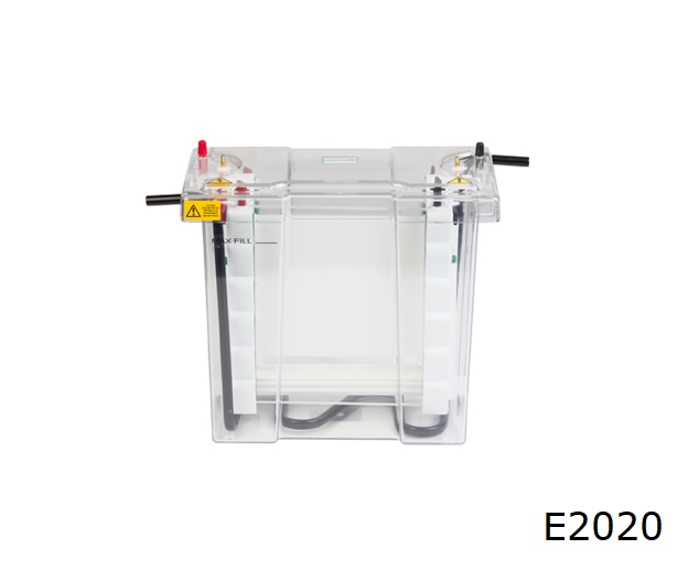 Electrophoresis System