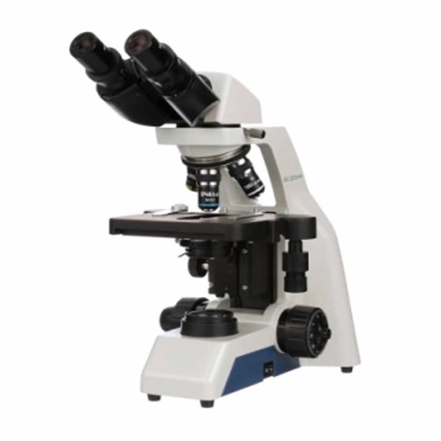 Upright Microscope