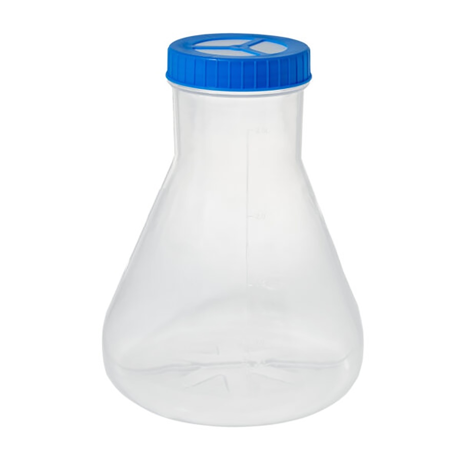 Erlenmeyer Flasks