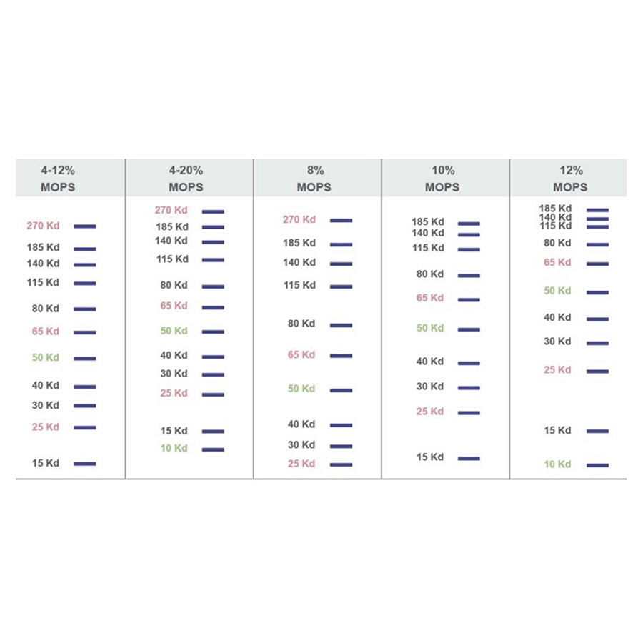 Mighty Small Precast Gels
