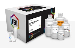 Gel/PCR DNA Fragment Extr