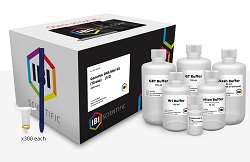 Genomic DNA Kit