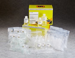 gBAC Genomic DNA Sample K