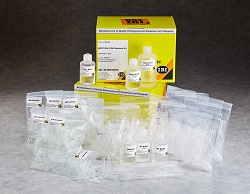 gBAC Genomic DNA Kit