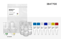 DNA and RNA Purification
