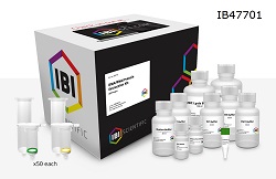 DNA and RNA Purification