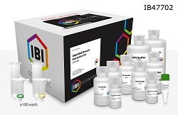 DNA and RNA Purification