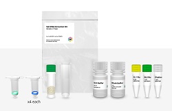 Soil DNA Extraction Sampl