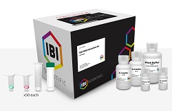 Soil DNA Extraction Kit