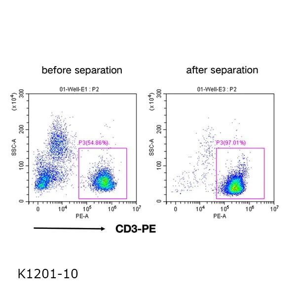 CD3+ Cell Separation Kit