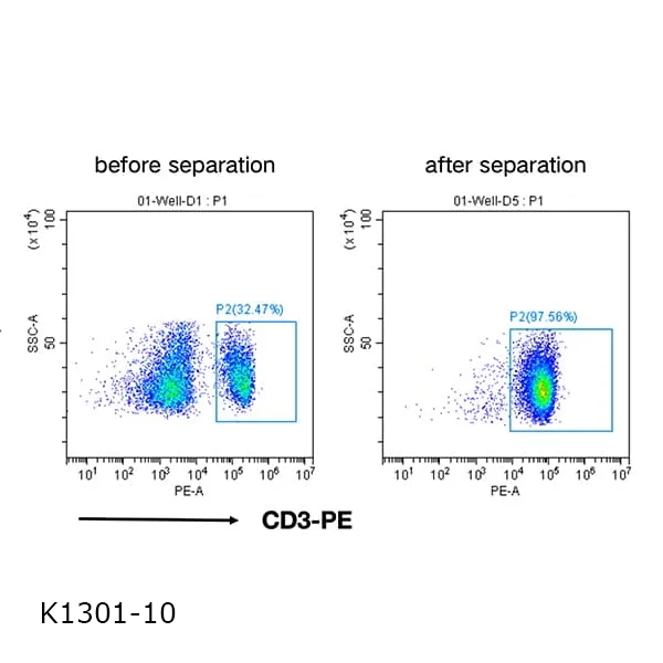 CD3+ Separation