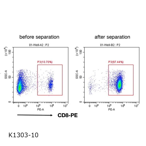 CD8+ Separation