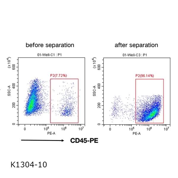 CD45+ Separation