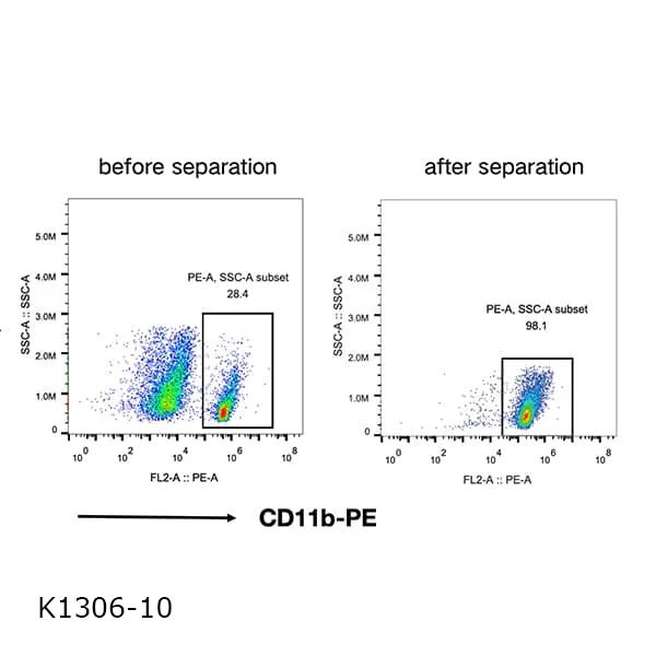 CD11b+ (Microglia) Sep