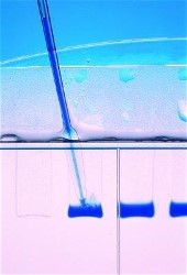 Avant Gel-Loading Tips