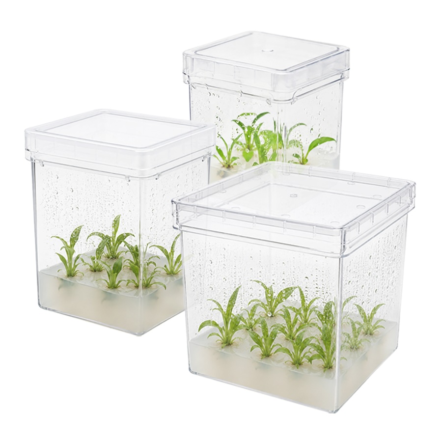 Plant Culture Boxes