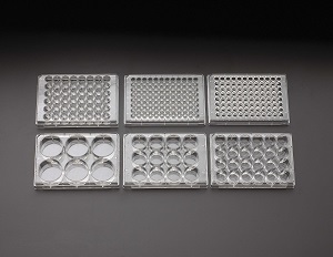 Cell Culture Plates