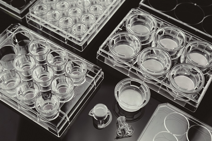 NEST Cell Culture Inserts