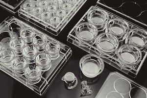 NEST Cell Culture Inserts