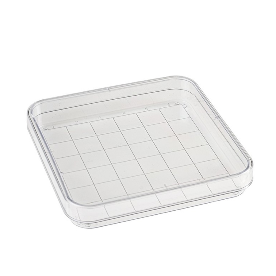 Square Grid Dishes